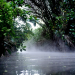Mythos Kongo - Fluss der Extreme