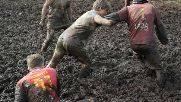 Bild 1 von 2: .