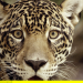 Abenteuer Wildnis