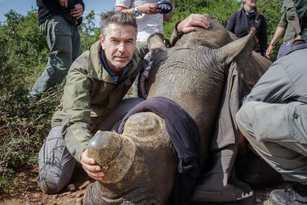 Bild 1 von 5: Dirk Steffens begleitet Tierschützer bei einem ungewöhnlichen Projekt zum Schutz der Nashörner. Die Forscher entfernen das Horn der Nashörner, um die Tiere vor Wilderern zu schützen.