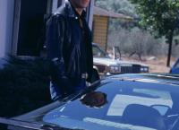 Knight Rider
