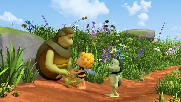 Bild 1 von 4: Kurt erzählt Maja und Ben von seiner Mistball-Aversion.