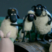 Shaun das Schaf