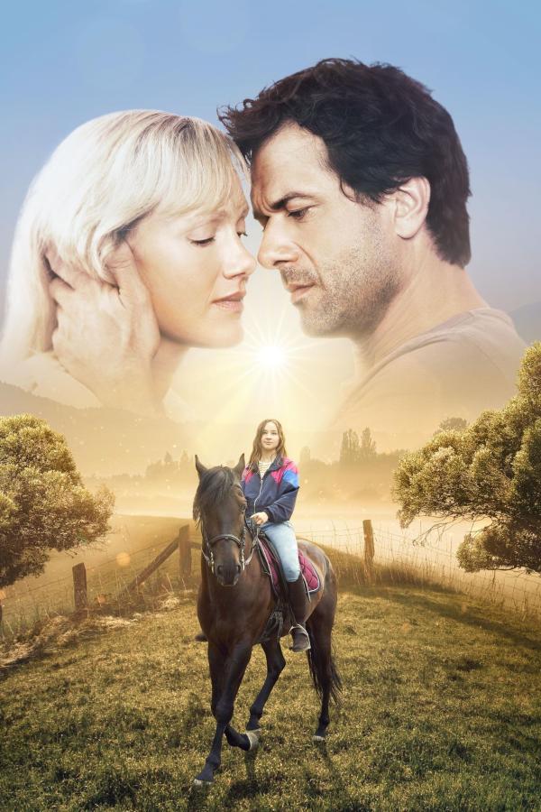 Bild 1 von 14: Im Schatten das Licht - Artwork