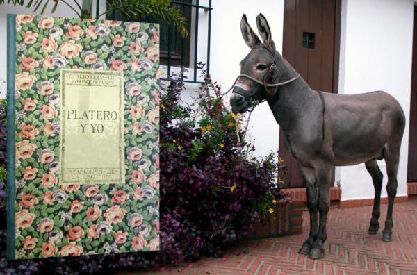 Bild 1 von 2: Es ist kein Kinderbuch, aber eine Geschichte, die fast alle spanischen und lateinamerikanischen Kinder kennen: Es geht um die Freundschaft eines Esels und des Literaturnobelpreisträgers Juan Ramón Jiménez.
