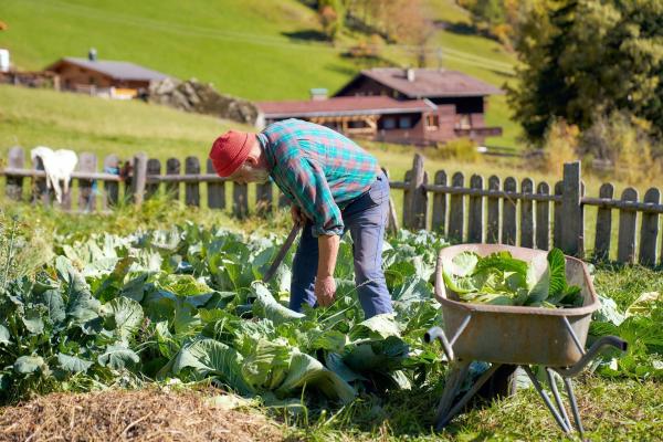 Bild 1 von 31: Im Bild: Hubert Pucher.