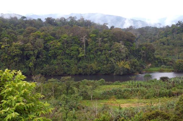 Bild 1 von 3: Costa Rica ist ein gebirgiges Land. Der vulkanische Ursprung und die besondere Flora und Fauna verleihen der Landschaft des zentralamerikanischen Staates ihr typisches Aussehen.