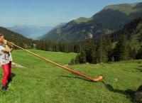 Die französischen Alpen von oben