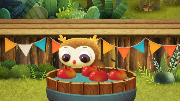 Bild 1 von 1: Odo hat Äpfel gesammelt.