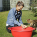 Anna und die Haustiere