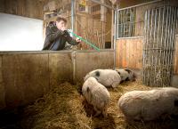 Tierarzt für alle Felle