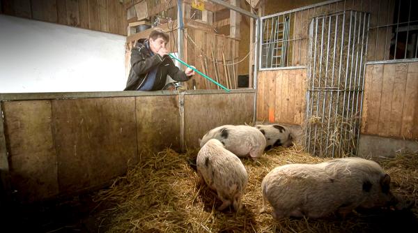 Bild 1 von 8: (Bild für alle Folgen)