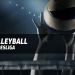 Volleyball Live - Bundesliga