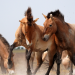 Abenteuer Wildnis