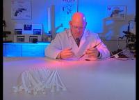 Medical Detectives - Geheimnisse der Gerichtsmedizin