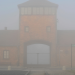 Die Wahrheit über den Holocaust