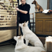 Der Hundeprofi