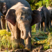 Big Five Asien