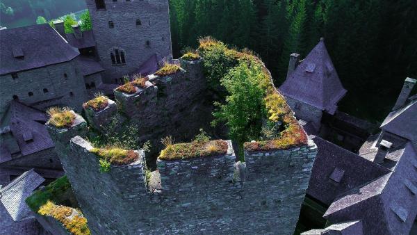 Bild 1 von 1: Im Bild: Burg Finstergrün