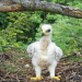 natur exclusiv
