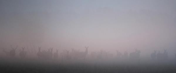 Bild 1 von 20: Im Bild: \