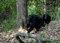 Rift Valley - Der große Graben