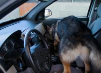 Border Patrol USA - Einsatz an Mexikos Grenze: Folge 9