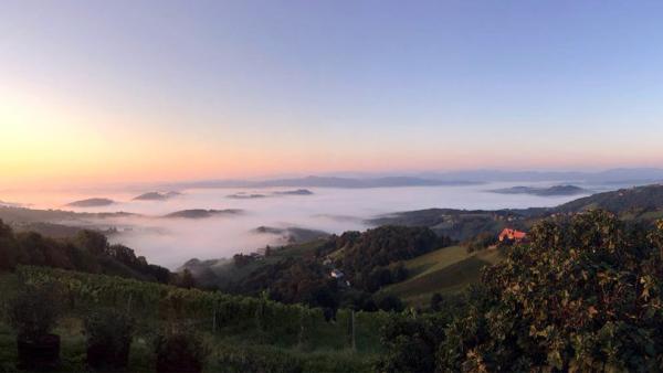 Bild 1 von 7: .