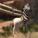 Khumba - Das Zebra ohne Streifen