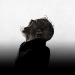 Spiders - Ihr Biss ist der Tod