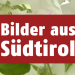 Bilder aus Südtirol