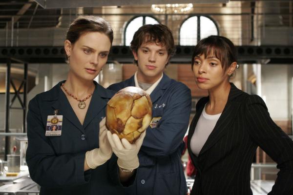 Bild 1 von 13: (v.l.n.r.) Dr. Brennan (Emily Deschanel); Dr. Addy (Eric Millegan); Camille (Tamara Taylor)