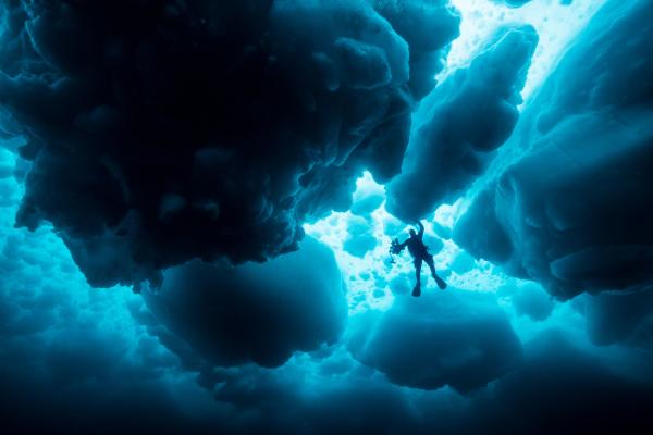 Bild 1 von 11: Der Meeresbiologe und Forschungstaucher Uli Kunz erkundet die Welt unter dem Eis. Auf den ersten Blick wirkt die Natur lebensfeindlich - doch zahlreiche Organismen haben sich an den besonderen Lebensraum angepasst.