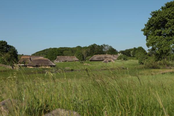 Bild 1 von 13: Germanendorf Sagnlandet im dänischen Lejre mit typischen germanischen Langhäusern.