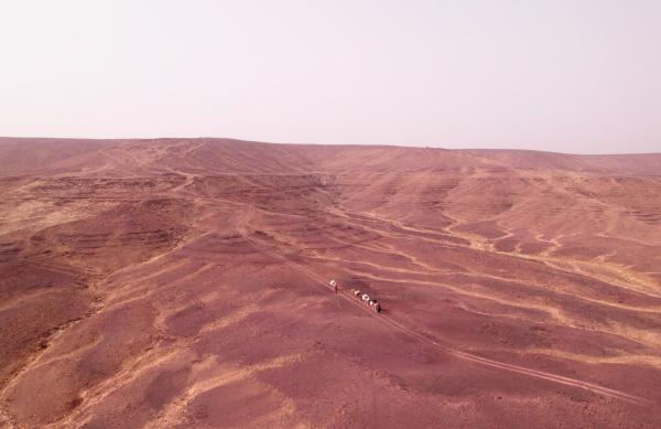 Bild 1 von 4: Nur 20 Prozent der Sahara ist mit feinem Sand bedeckt. Der Rest besteht aus Stein, Kies und Geröll.