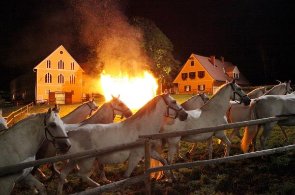 Bild 1 von 12: Das Glück dieser Erde