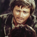 Django, ein Sarg voll Blut