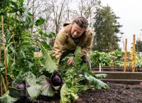 Jamie Oliver: Jahreszeiten - Weihnachtliche Schlemmereien