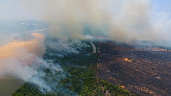 Bild 1 von 15: Feuer bedrohen das Naturschutzgebiet in der Trockenzeit.