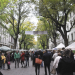 Der Weimarer Zwiebelmarkt