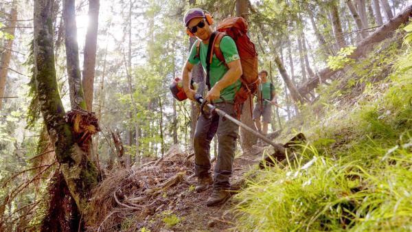Bild 1 von 22: Im Bild: Arbeiten auf einem Wanderweg.