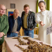 Bild 15