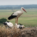 Abenteuer Wildnis