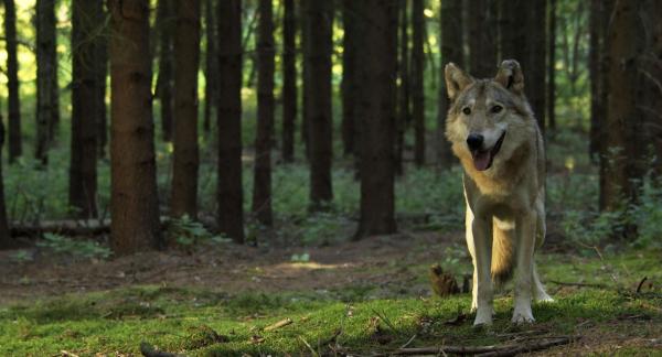 Bild 1 von 4: 