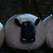Shaun das Schaf