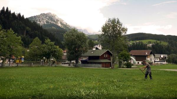 Bild 1 von 5: Bauernleben in Filzmoos