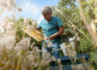Die Bienenflüsterer