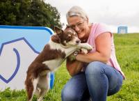 hundkatzemaus - Das Haustiermagazin