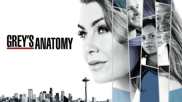 Bild 1 von 2: (14.Staffel) - Grey's Anatomy - Die jungen Ärzte - Artwork