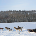 Life Below Zero - Überleben in Alaska